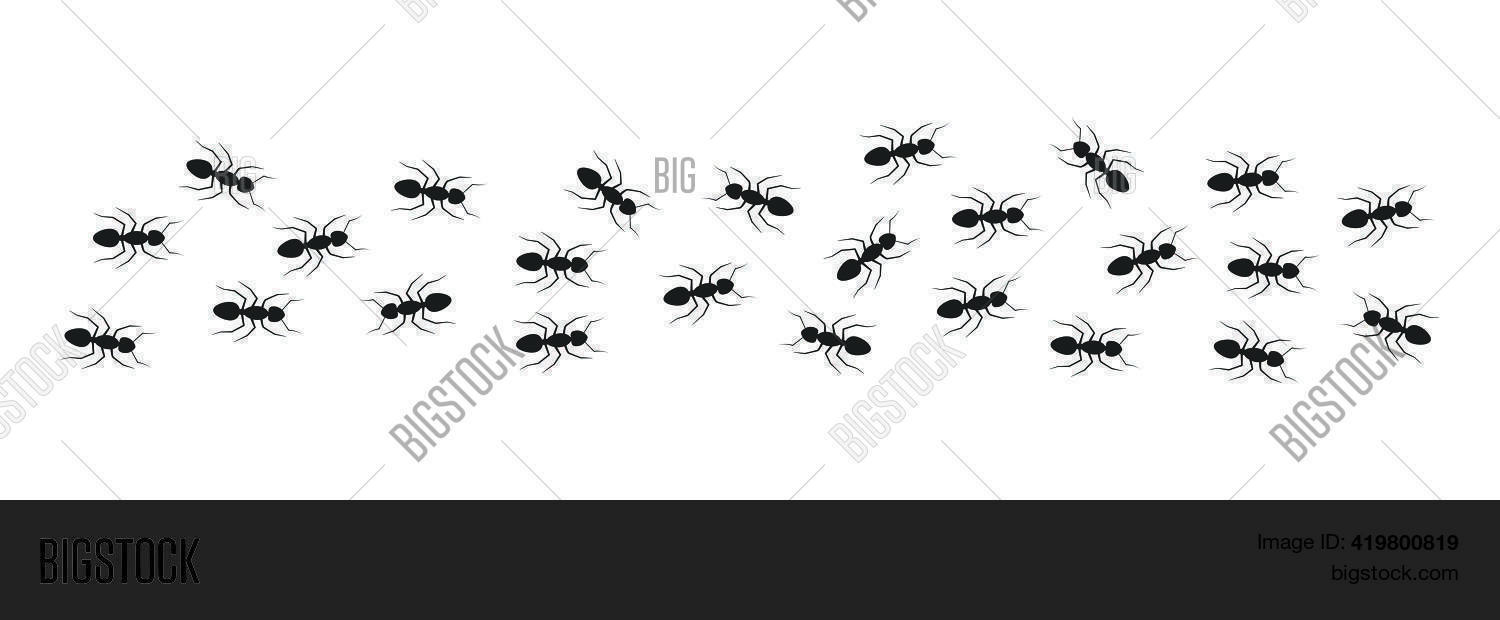 Line Working Ants. Vector & Photo (Free Trial) | Bigstock