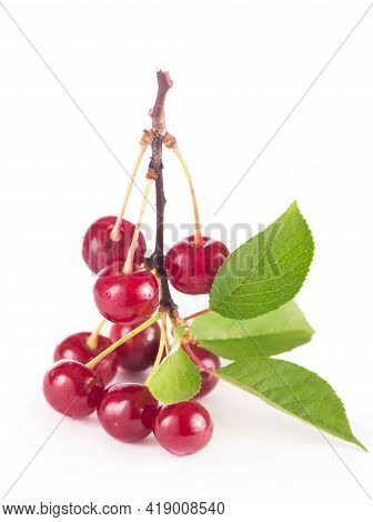 Ripe Fresh Red Cherry Isolated On White Background. With Clipping Path.