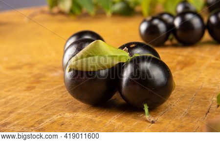 Jabuticaba, Jabuticabas In Detail On Rustic Wood, Selective Focus.