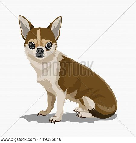 Cute Little Decorative Dog. Puppy. A Beautiful Brown Puppy With Big Eyes Wags Its Tail. Isolate. Vec