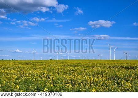 Yellow Blooming Oilseed Rape With Wind Energy Plants In The Back Seen In Rural Germany