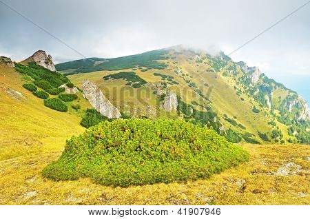 Transylwania, Sinaia, Romania
