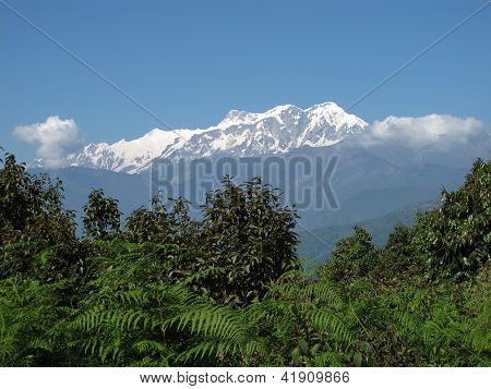 Annapurna Range And Fern