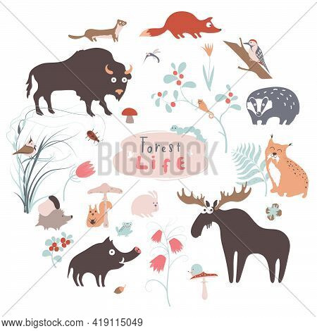 Cute Forest Animals Vector Set For Kid Prints