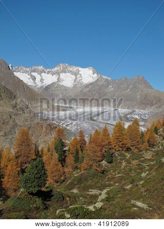 Montagne, ghiacciai e alberi colorati