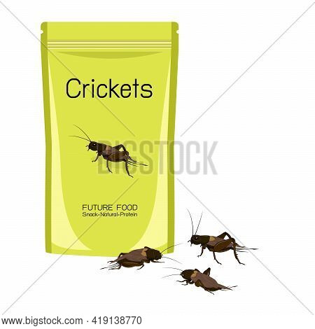 Crickets Insects Deep-fried Crispy In Packaging Snack Pouch Wrapper Ready To Eating For Take Away. I