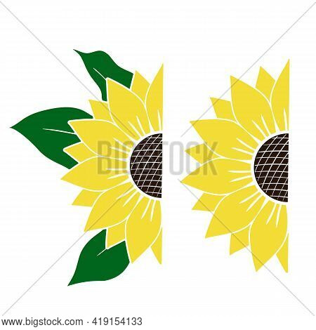 Vector Set Of Yellow Half Of Sunflowers With Green Leaves Isolated On White Background. Bright Summe