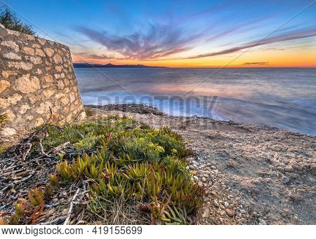 Wall And Coastal Vegetation On The Rocky Coastline Of Cap Corse At Sunset, Corsica, France