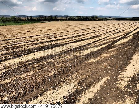 Landscape With Agricultural Land Plowed, Prepared For Harvest. Agricultural Landscape, Arable Land F
