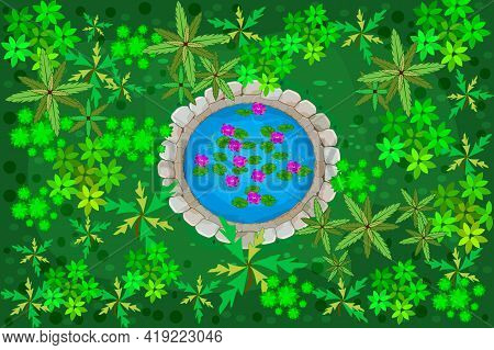 Aerial View Of Natural Water Pond Surrounded By Forest. Top View Of Trees And Lake With Lilies In Ju