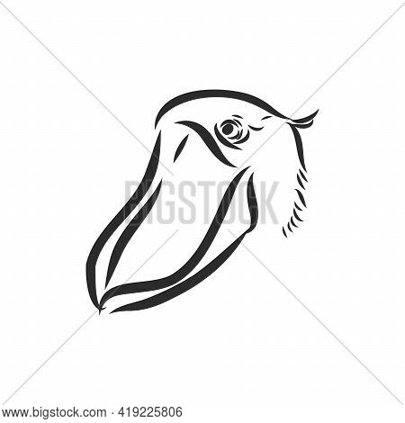 Hand Drawn Sketch Style Shoebill. Vector Illustration Isolated On White Background.