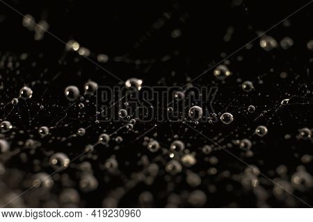Natural Background With Spiderweb. Round Spheric Small Waterdops On Complicated Entangled Wet Web Th