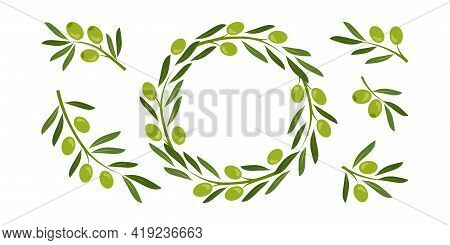 Green Olive Crown, Wreath Vector Set And Greek Olive Branches, Tree Leaves Twigs. Nature Illustratio