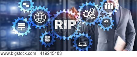 Rip. Businessman Pressing Virtual Screen Routing Information Protocol. Technology Networks Concept