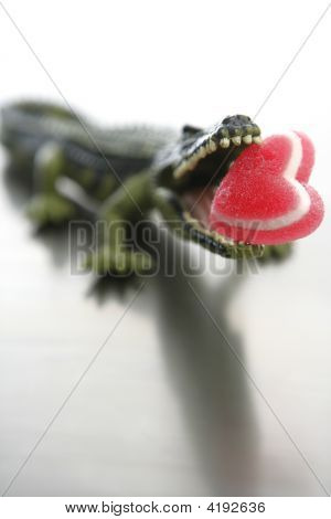 Toy Cocodrile, Aligator mit Süßigkeiten Valentine roten Herzen in seine Kiefer