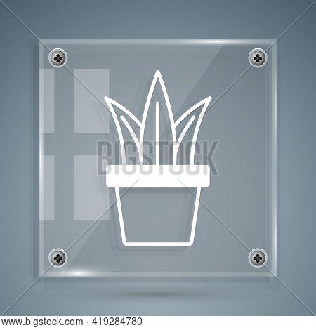 White Plant In Pot Icon Isolated On Grey Background. Plant Growing In A Pot. Potted Plant Sign. Squa