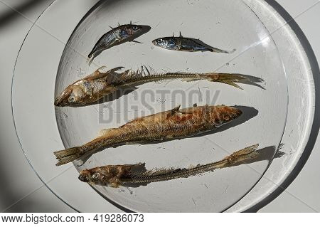 Whole Fried Fish Smelt And Fish Bones On A Plate.