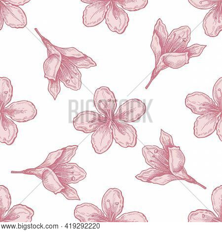 Seamless Pattern With Hand Drawn Pastel Plum Flowers Stock Illustration