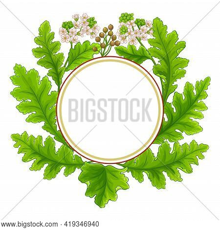Crambe Plant Vector Frame On White Background