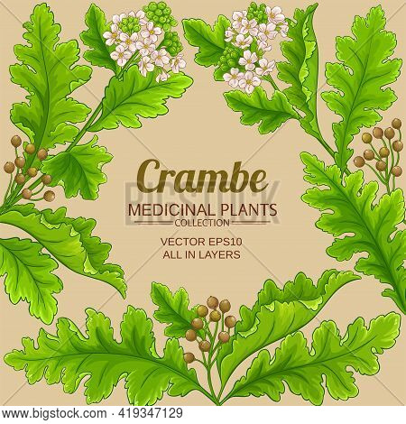 Crambe Plant Vector Frame On Color Background