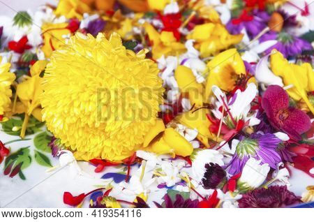 A Colorful Flower Background With A Giant Yellow Chrysanthemum Among Smaller Flowers.
