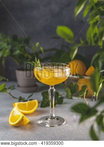 Champagne Coupe Glass Of Refreshing Orange Cocktail With Ice Served On Gray Table Surface Surround O
