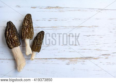 View Of Three Morel Mushrooms On A Light Wooden Background. Layout, Copy Space.