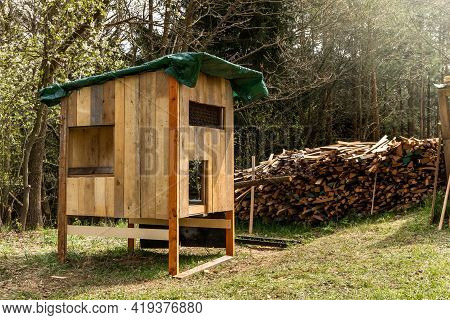 Home Made Chicken Coop Seen Erected Within A Domestic Garden As Seen In Spring. Construction Of A Ch