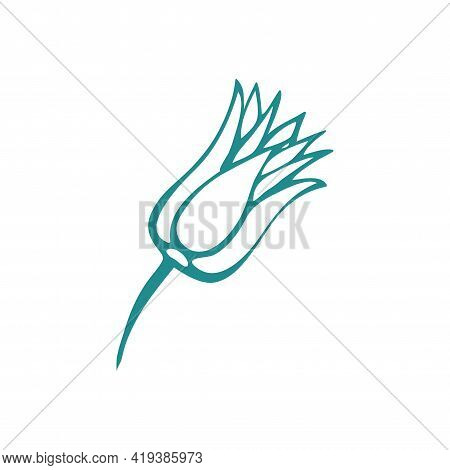 Graceful Green Flower. Contour Leaves. Vector Isolated Element. Garden Plant.