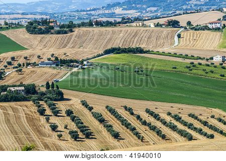 Marcher (Italien), landskab