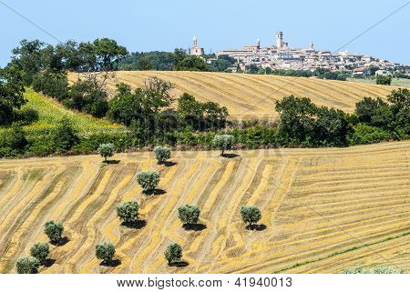 Panoramaudsigt over Potenza Picena