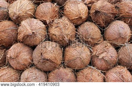 Shelled Coconuts For Sale In Stall, Juhu Beach, Mumbai, India