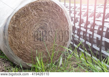 Rolled Hay And Plastic Geogrid Mesh For Land Transformation Landscaping, Preparation For Plant Seedl