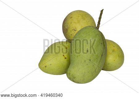 Four Raw Mangos Isolated On White Background With Cipping Path.