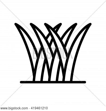 Grass Line Icon. Spring, Gazon. Simple Flat Vector Illustration For Store, Web Site Or Mobile App.