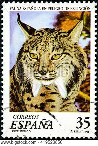 Spain - Circa 1998: A Stamp Printed In The Spain Shows The Iberian Lince, From The Endangered Animal