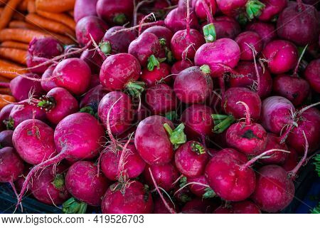 Fresh Organic Green Radish On Fresh Market,  Background. Radish Texture . A Lot Of Organic Radish  R