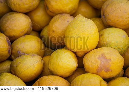 Close Up Of The Yellow Lemon  ,  Background. Fresh Lemons Variety Grown In The Shop.