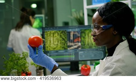 Scientist Researcher Woman Checking Tomato Injected With Pesticides