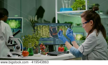 Scientist Injecting Strawberry With Pesticides Discovery Genetic Mutation