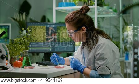 Chemist Injecting Vegan Beef Meat With Protein Using Medical Syringe