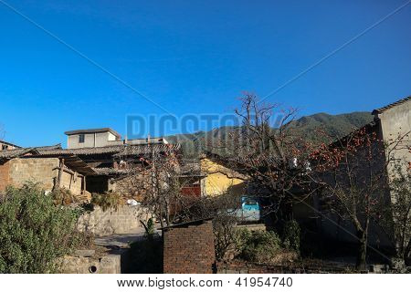 Agriturismo suburbana con alberi da frutto a Kunming, Cina