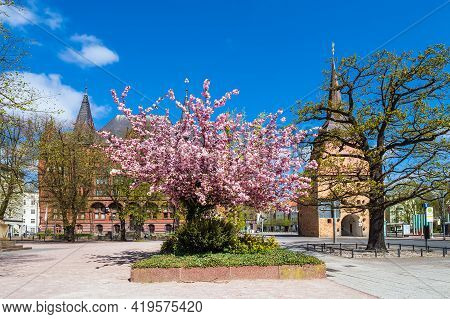 Springtime With Historical Buildings In The City Rostock, Germany.