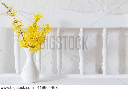Forsythia  In Vase On Vintage White Background