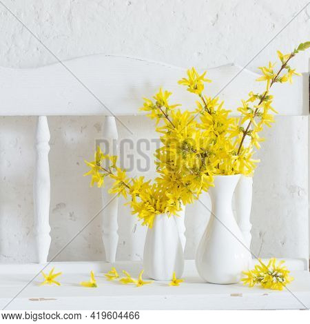 Forsythia  In Vase On Vintage White Background