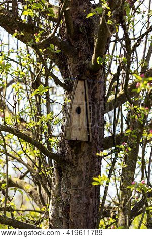 A Triangular Wooden Homemade Birdhouse Nailed To A Apple Tree In Springtime. The Hole Of The Mounted