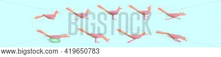 Set Of Roadrunner Cartoon Icon Design Template With Various Models. Modern Vector Illustration Isola