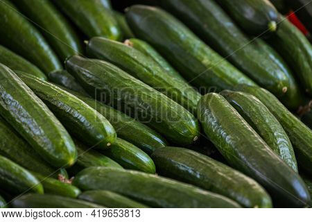 Fresh Organic Green Cucumbers On Fresh Market,  Background. Сucumbers Texture . A Lot Of Organic сuc