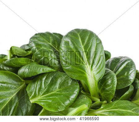 čerstvé zelené listy špenátu nebo pak choi izolovaných na bílém pozadí