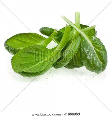 ผักโขมสีเขียวใบไม้สดหรือ pak choi แยกต่างหากบนพื้นหลังสีขาว